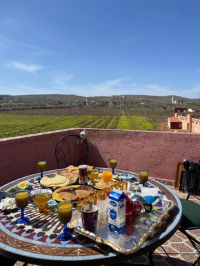 Vila Haja - Beautiful Farmhouse in the middle of nature!